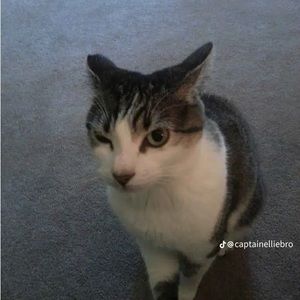 Meet your Posher, Jillian